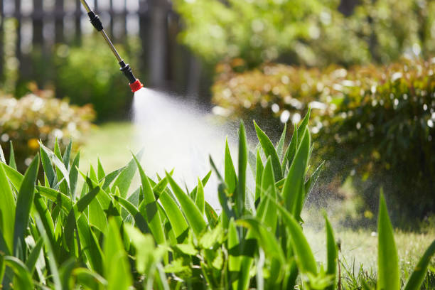 24/7 Emergency Mosquito Control experts in Grand Forks, ND